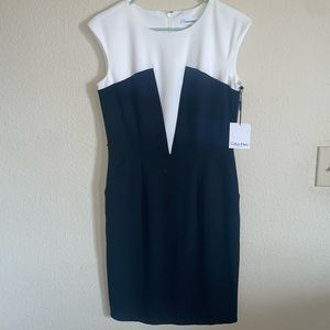 Calvin Klein Dress